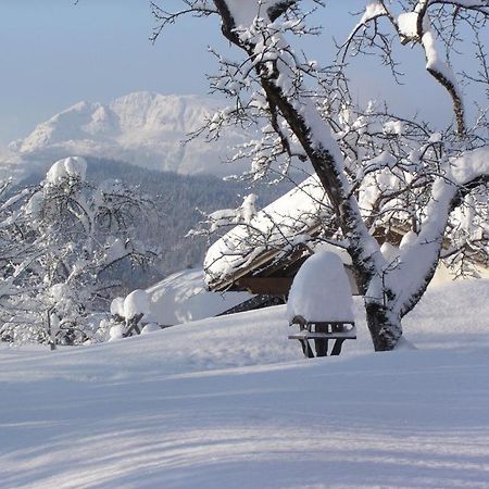 Haus Schmiederer Apartment ไรท์อิมวิงเคอ ภายนอก รูปภาพ