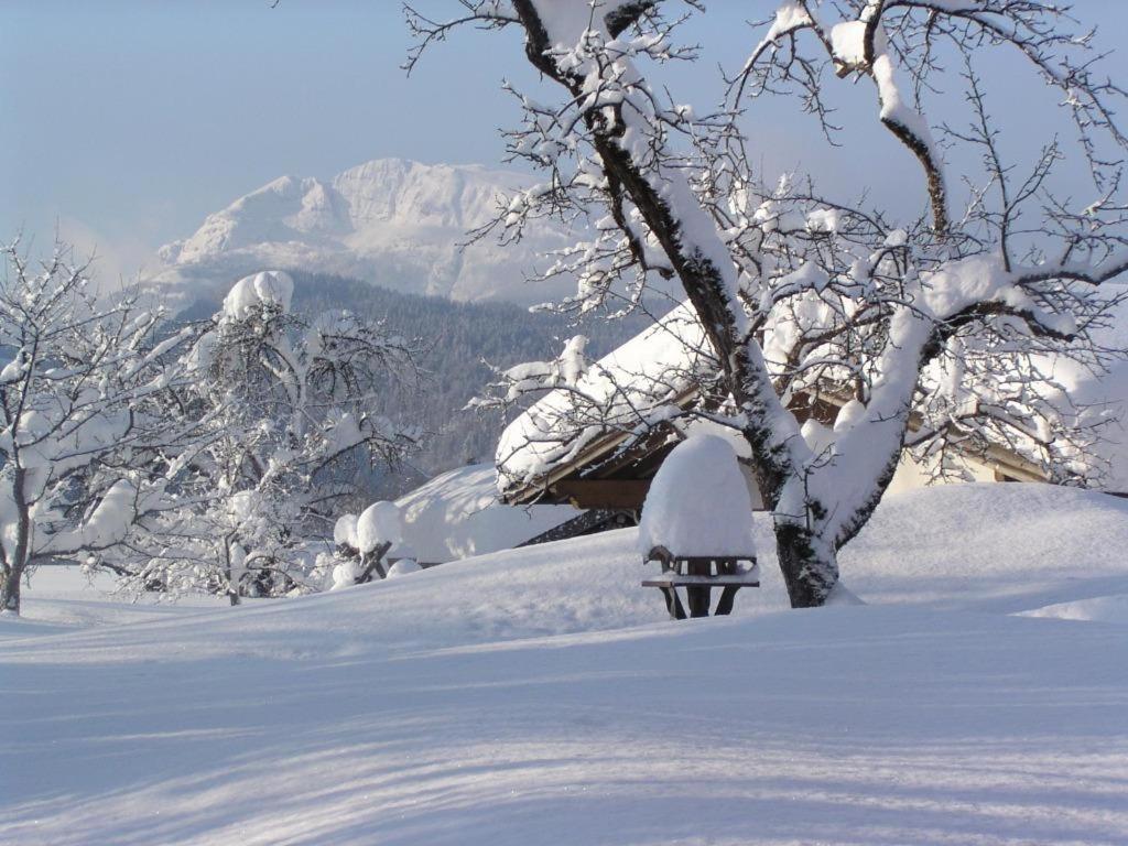 Haus Schmiederer Apartment ไรท์อิมวิงเคอ ภายนอก รูปภาพ